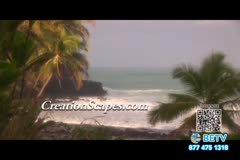 TV Content Image